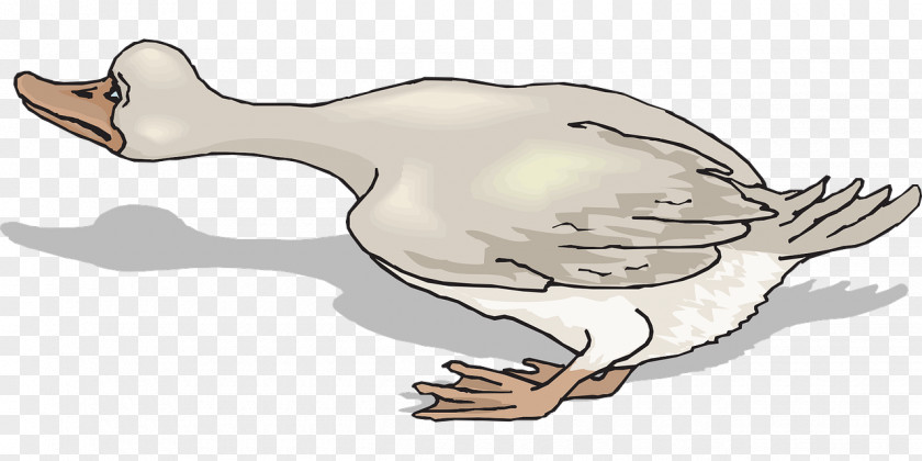 Grey Goose Poultry Duck Clip Art PNG