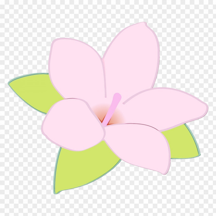 Moth Orchid Flowering Plant Petal Pink Flower Clip Art PNG