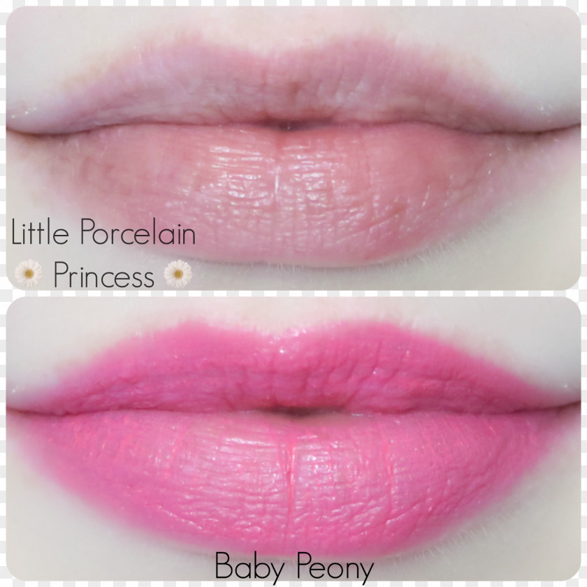 Peony Shading Lipstick Lip Balm Rose Gloss PNG