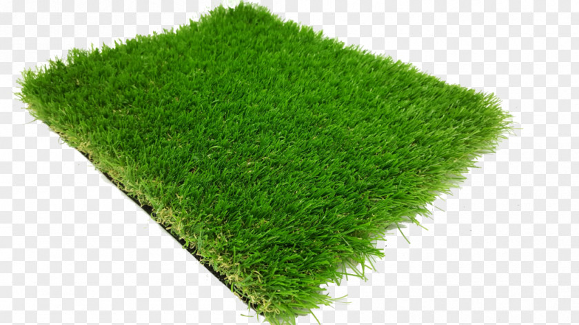Product Description Lawn Artificial Turf Golf Grasses PNG