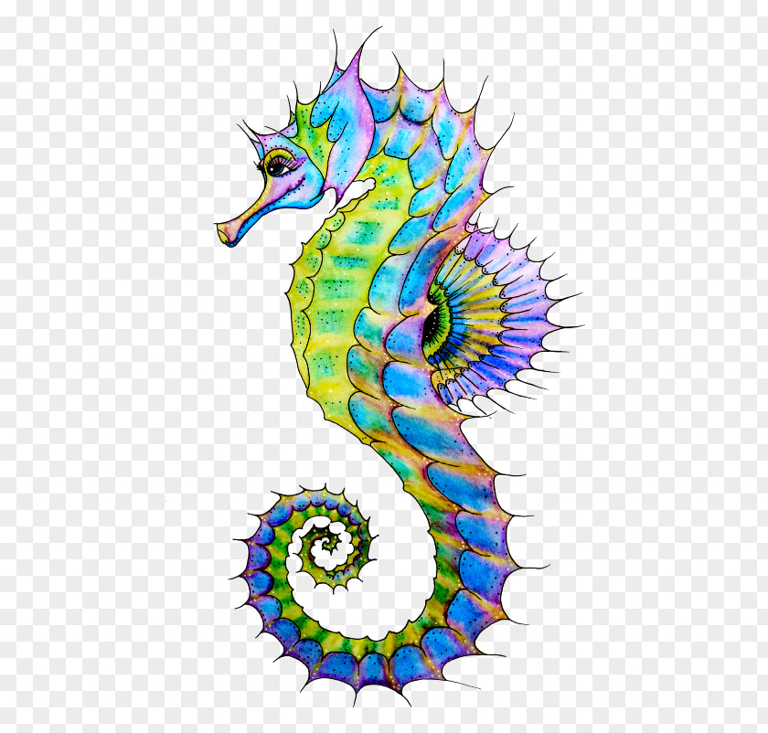 Seahorse Clip Art PNG