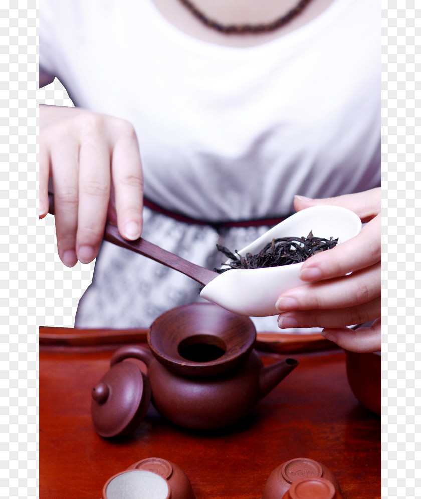 Tea Artist Tieguanyin Da Hong Pao Kuding Junshan Yinzhen PNG