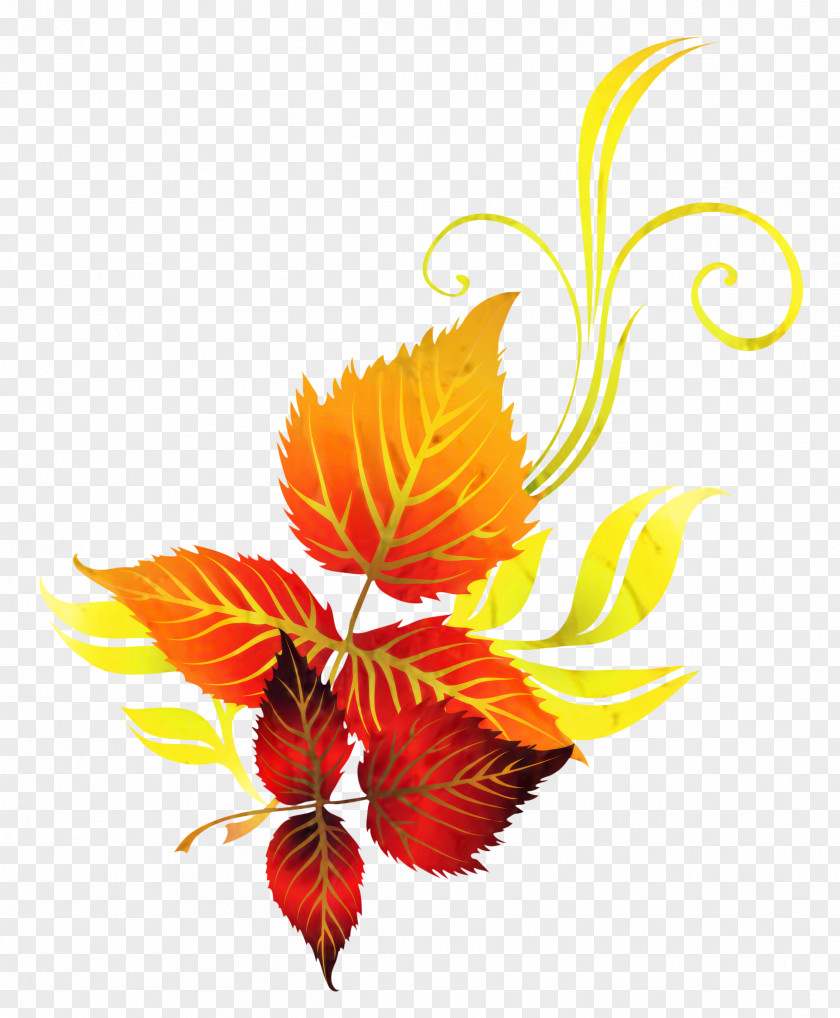 Bird Of Paradise Plant Flowers Background PNG