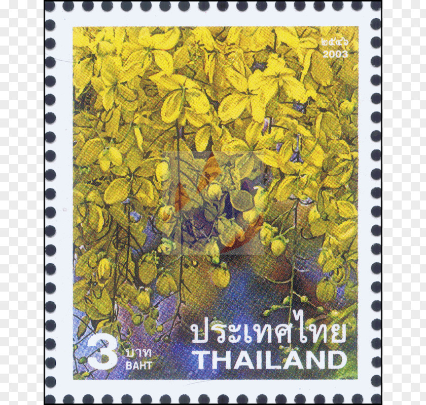 Cassia Fistula Postage Stamps Fauna Flora Thailand Animal PNG
