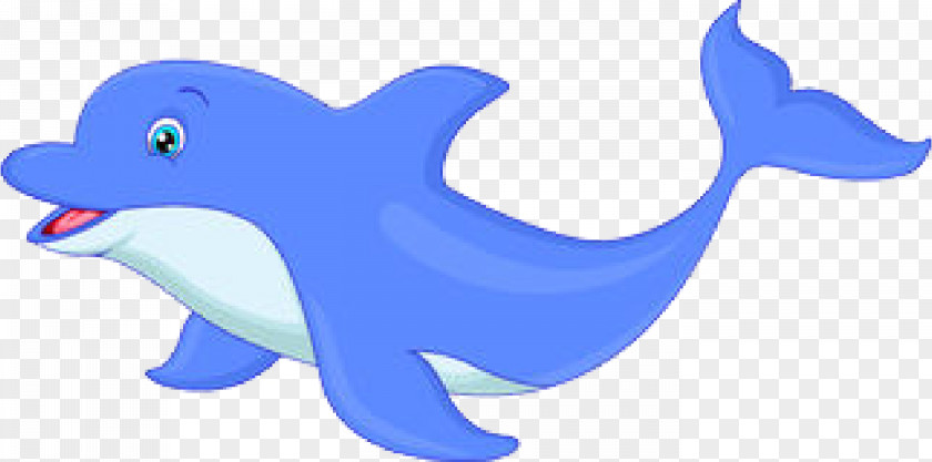 Cute Dolphin Drawing Photography Art PNG