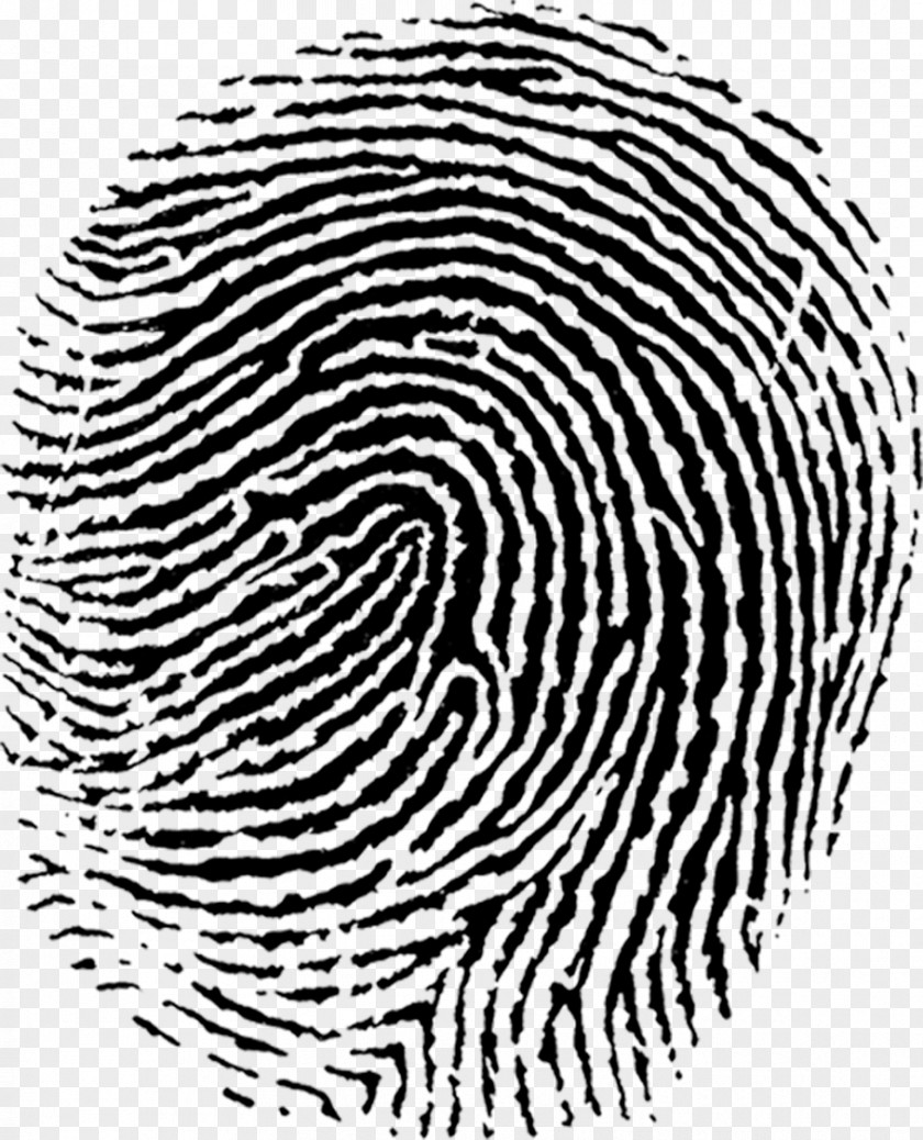 Finger Print Fingerprint PNG