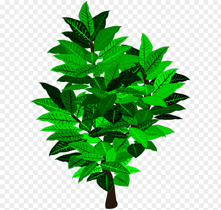 Love Tree Flowerpot Houseplant Shrub PNG