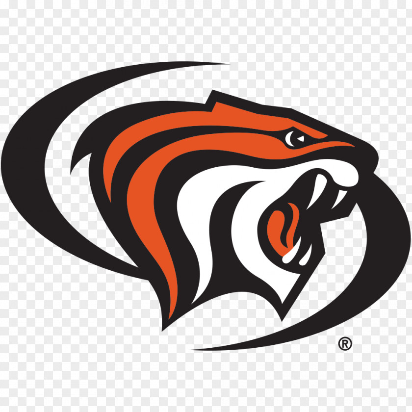 South China Tiger Pictures University Of The Pacific California Baptist Tigers Men's Basketball Azusa Maryland, College Park PNG