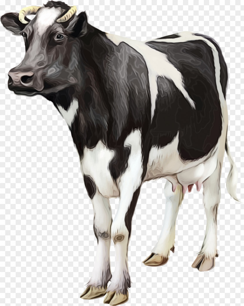Blackandwhite Dairy Watercolor Animal PNG
