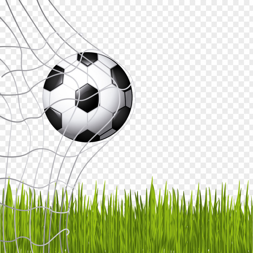 Football On The Grass Picture Royalty-free Illustration PNG