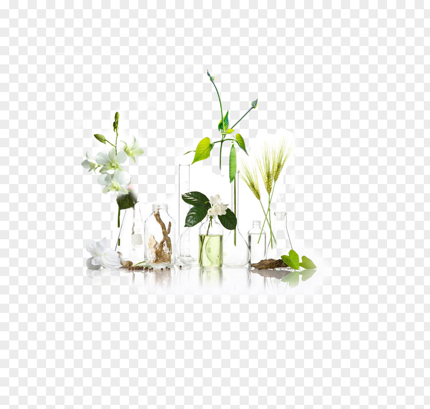 Plant Floral Bottle Glass Transparency And Translucency PNG