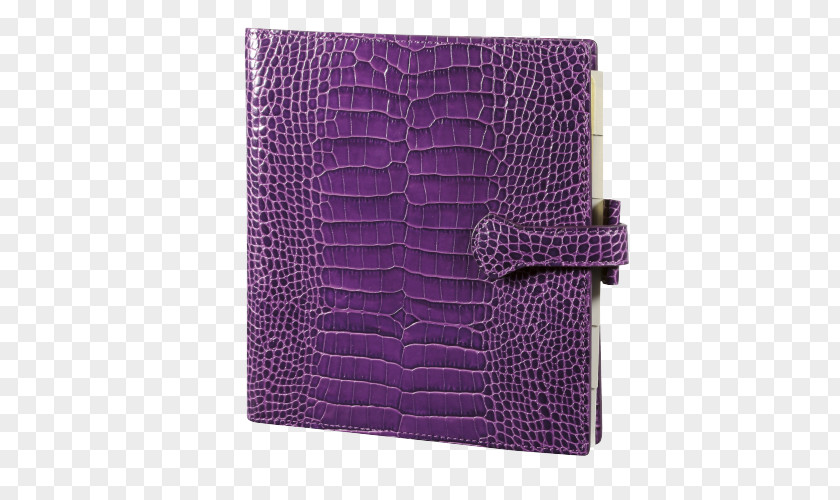 IIC Bvba VioletBugs Life Librairie Papeterie Christmann Purple Wallet Gillio PNG