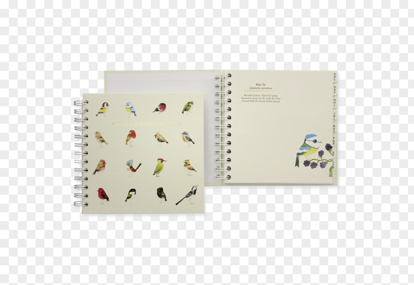 Notebook Paper Stationery Bird PNG