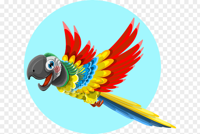 Parrot Clip Art PNG