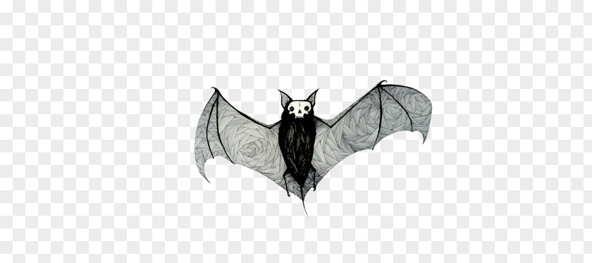 Bat Drawing Sketch PNG