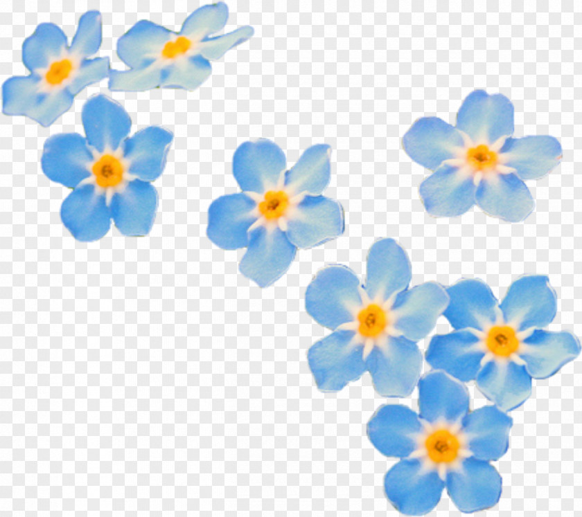 Forgetmenot Wildflower Cartoon Nature Background PNG