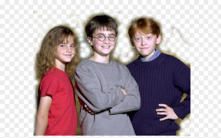 Harry Poter Potter And The Cursed Child Hermione Granger Ron Weasley Professor Severus Snape PNG