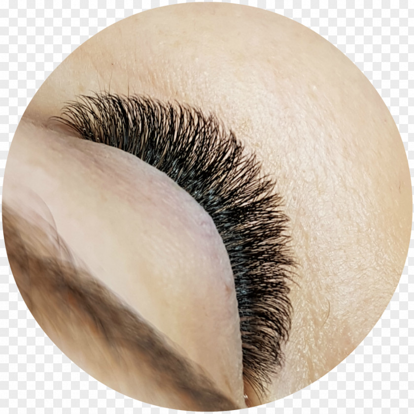 Inova Eyelash Extensions Close-up Artificial Hair Integrations PNG