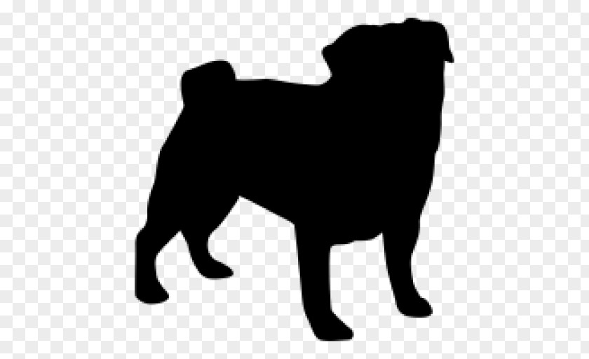 Puppy Pug Dog Breed Companion Bichon Frise PNG