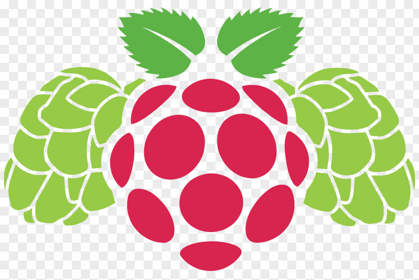 Raspberry Pi Clip Art Vector Graphics Logo PNG