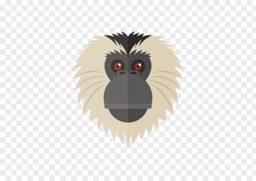 Vector Monkey Cartoon Download PNG