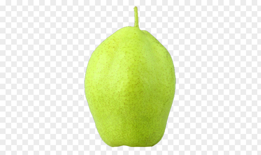 An Early Pear Lime Auglis Green PNG