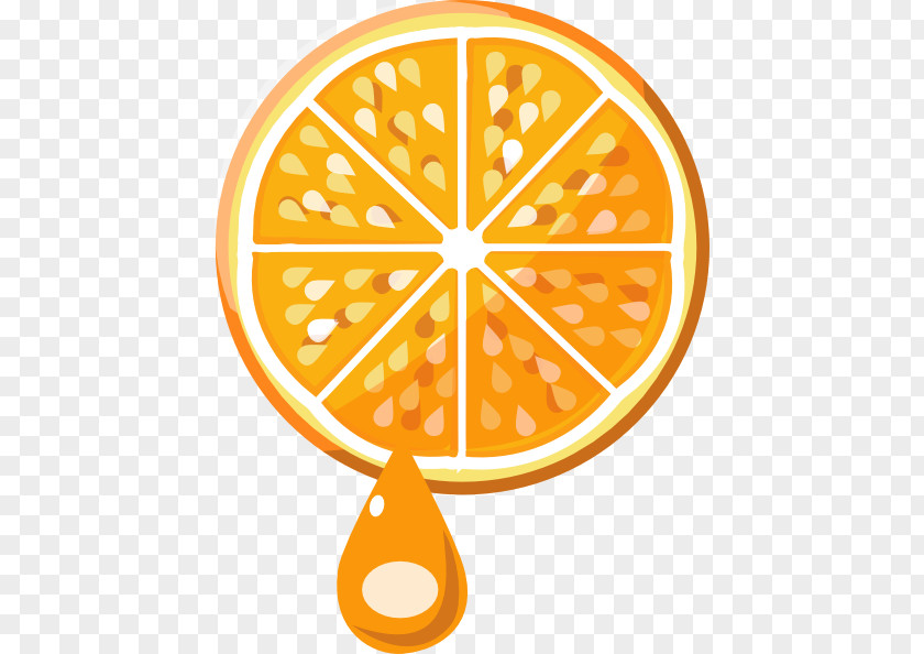 Orange Juice Cliparts Clip Art PNG