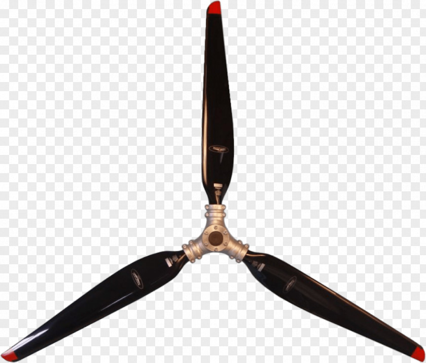 Spinner Sensenich Propeller Wing Diffuseur PNG