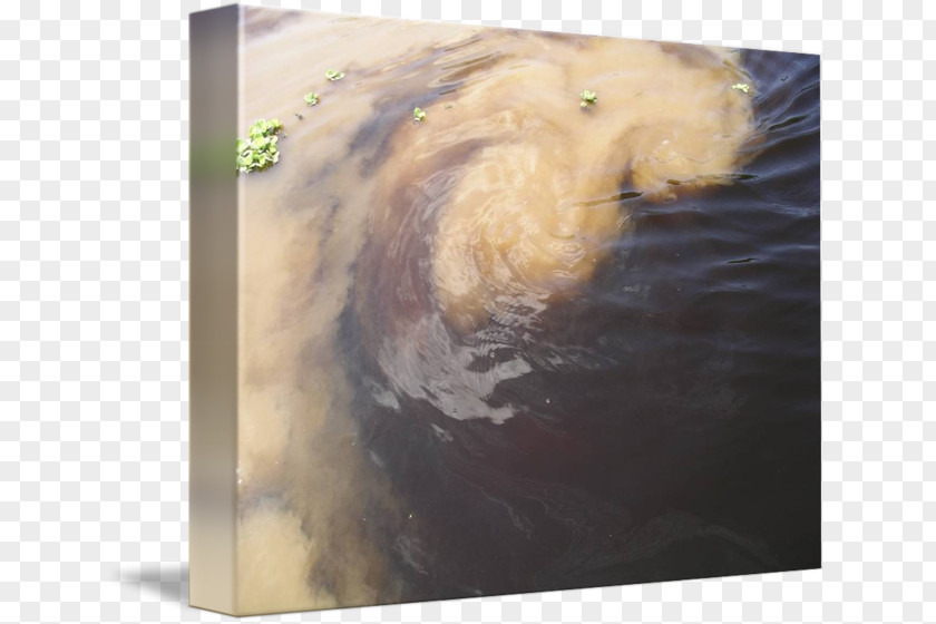 Amazon River Painting Picture Frames Snout PNG