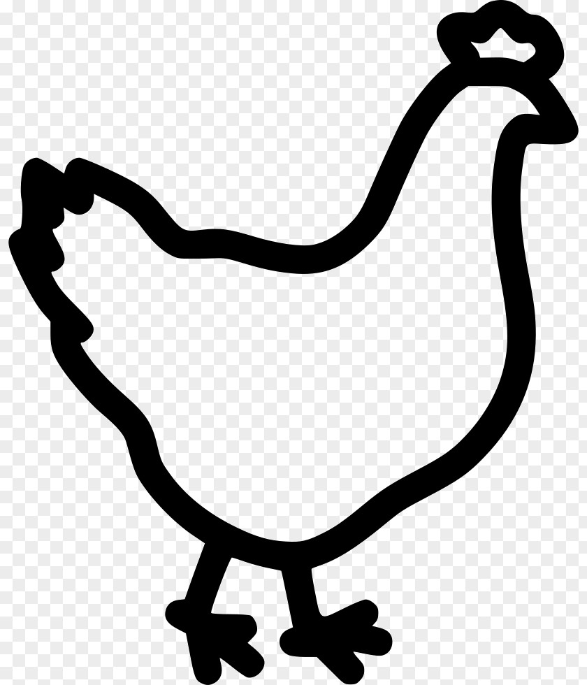 Chicken Clip Art Poultry Farming PNG
