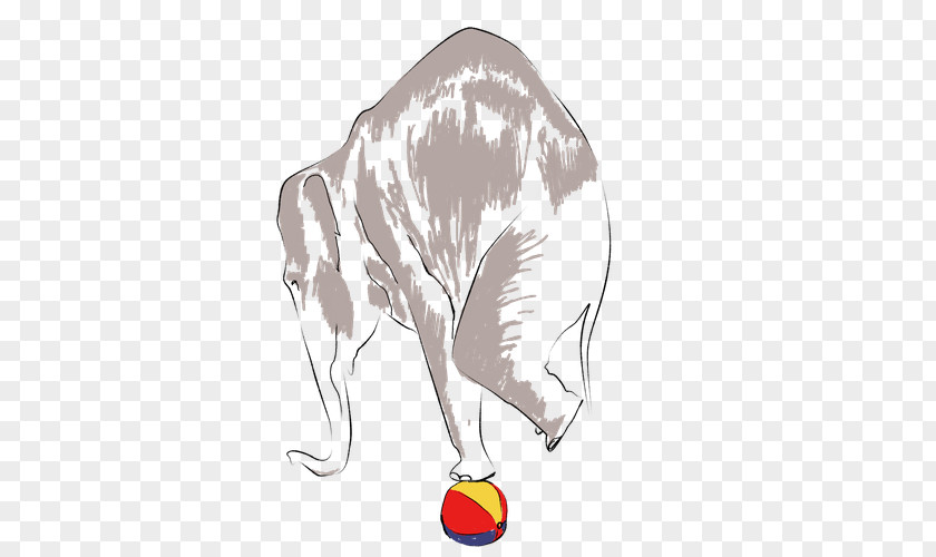 Circus Drawing Paper Elephantidae PNG