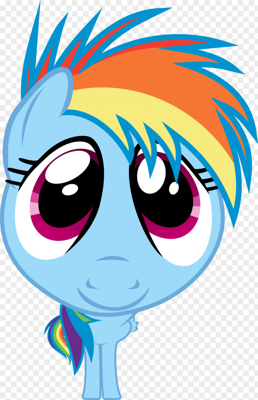 Fisheye Lens Rarity Rainbow Dash Derpy Hooves DeviantArt PNG