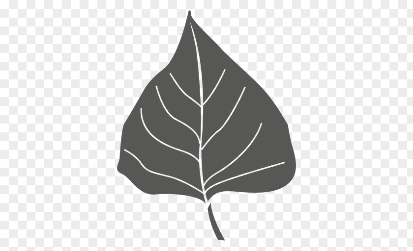 Leaf Desktop Wallpaper Vexel PNG