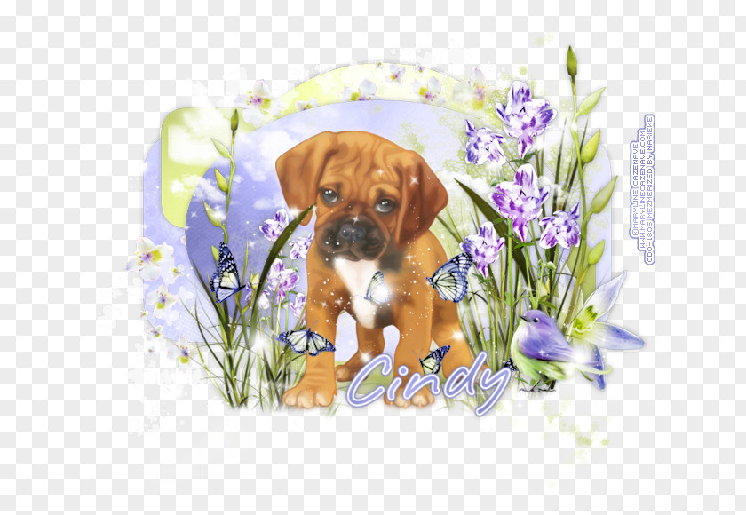 Puppy Puggle Boxer Dog Breed Companion PNG