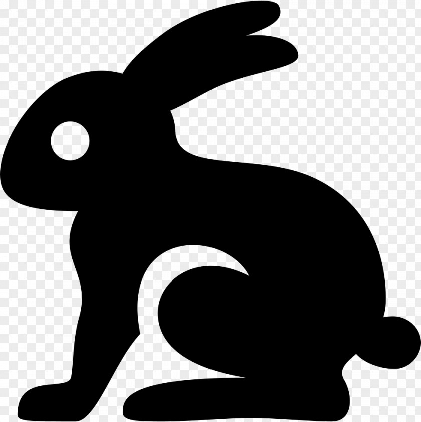 Rabbit Easter Bunny PNG