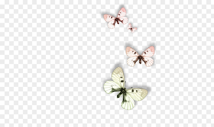 Butterfly Animal Moth Dog PNG