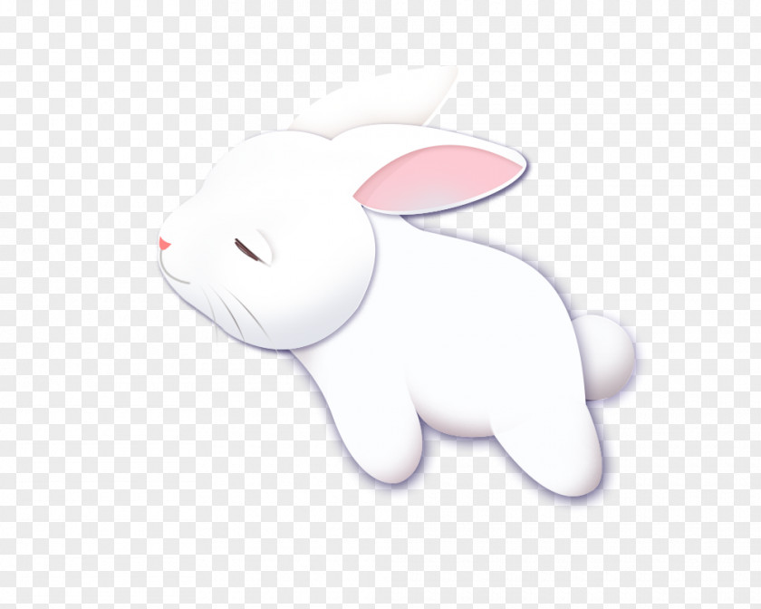 Cute Bunny Moon Rabbit PNG