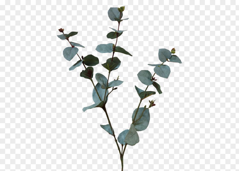 Eucalyptus Plant Stem Artificial Flower Leaf Tree PNG