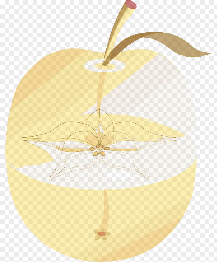 Fruit Anatomy Product Design PNG