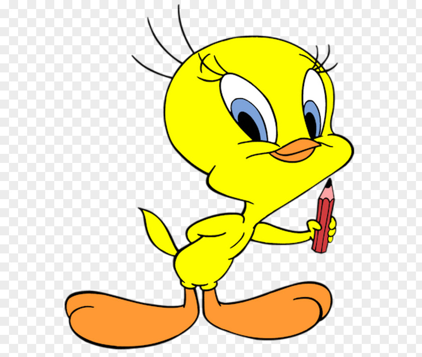 Tweety Sylvester Drawing Cartoon Clip Art PNG