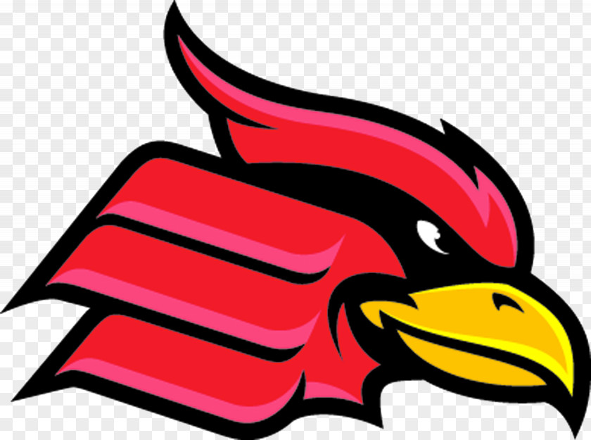 Wheeling Jesuit University Cardinals Men's Basketball St. Bonaventure Mountain East Conference PNG