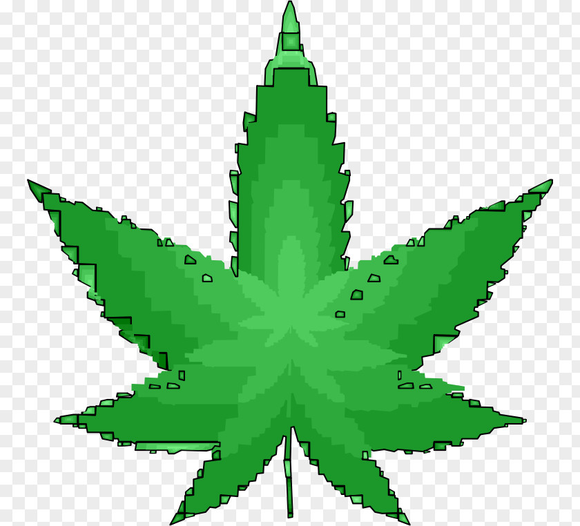 Leaf Illustration Medical Cannabis 420 Day Sativa Bong PNG