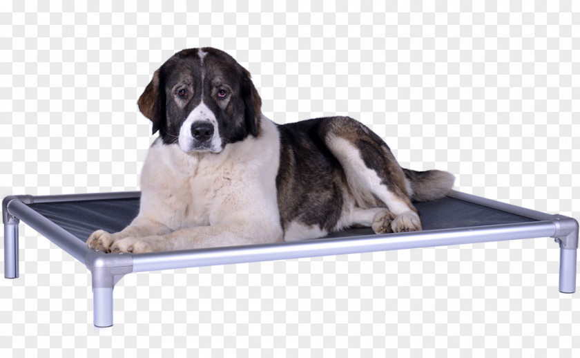 Orthopedic Pillow Toy Dog Bed Frame Bunk PNG