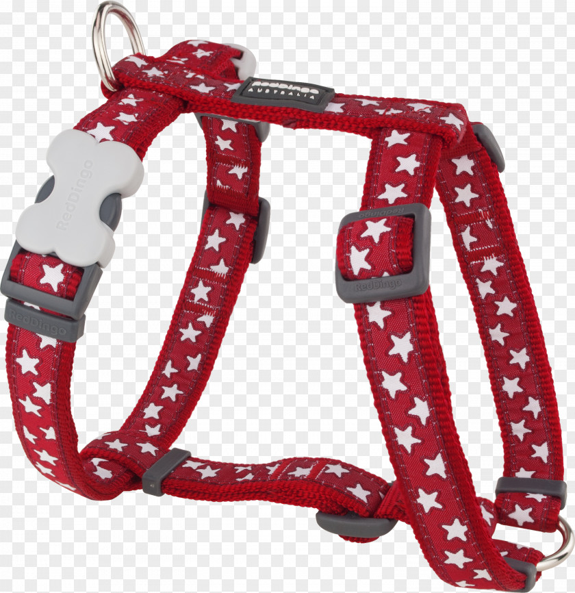 Red Collar Dog Dingo Puppy Cockapoo Harness PNG