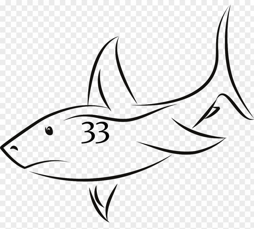 Shark Fin Drawing Clip Art PNG