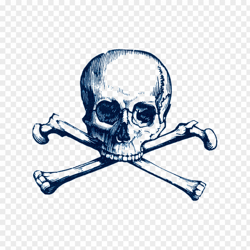 Skull And Crossbones Bones Society Piracy Art PNG