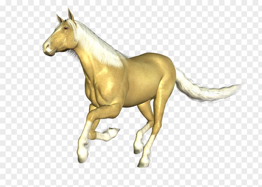Cabal Mustang Mane Stallion Colt Arabian Horse PNG