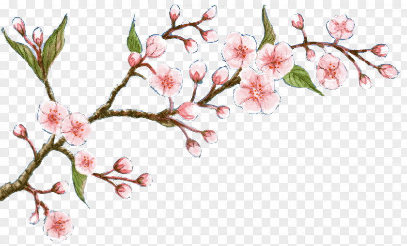Cherry Blossom Flower Oil Soap PNG