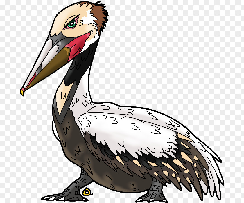 Chicken Beak Goose Cygnini Clip Art PNG