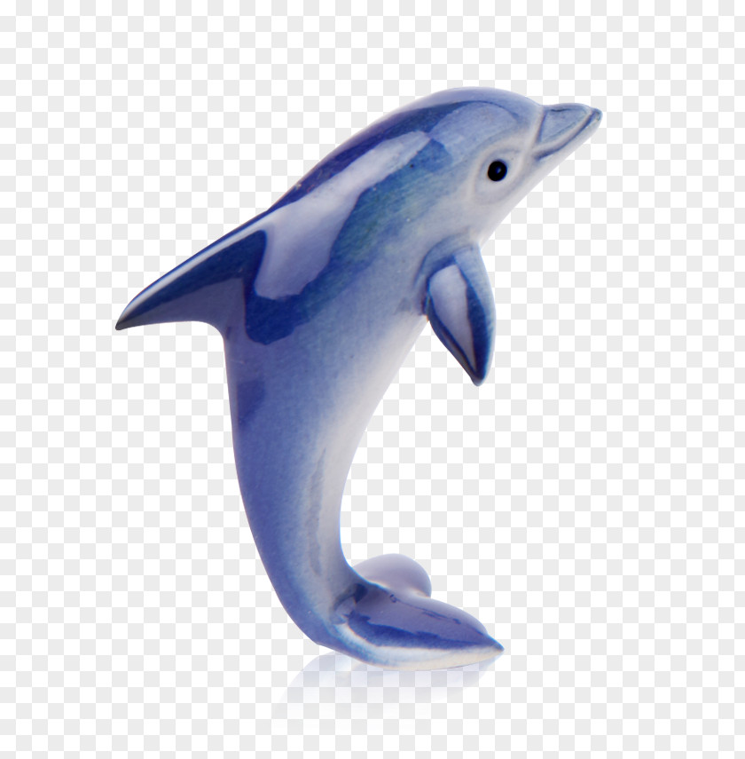 Dolphin Common Bottlenose Short-beaked Wholphin Tucuxi Rough-toothed PNG